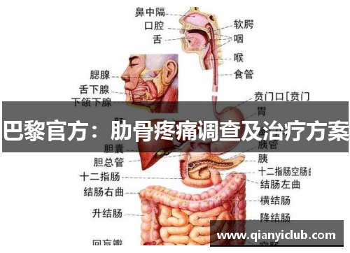 巴黎官方：肋骨疼痛调查及治疗方案